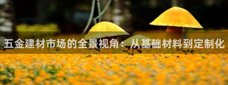 天狮娱乐Q 78139老板