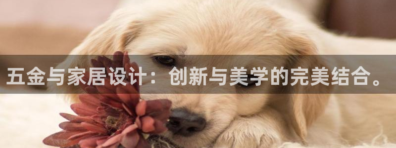 天狮娱乐彩票注册
