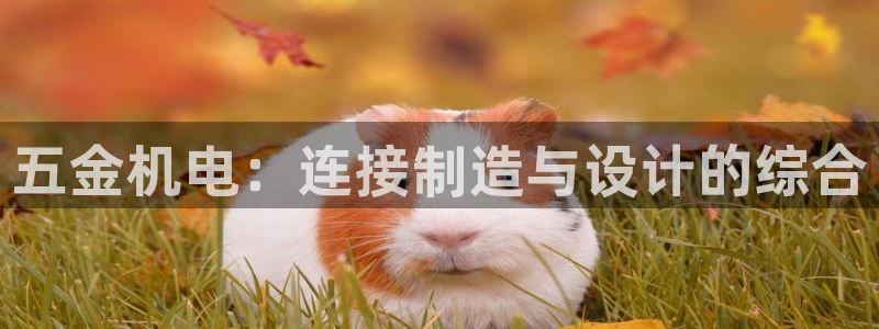 天狮娱乐主管57757