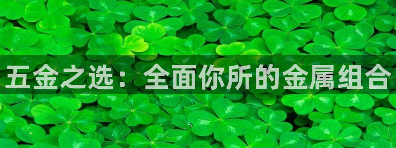 天狮娱乐股东Q 882092