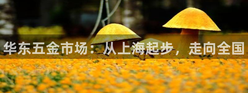 天狮娱乐平台下载