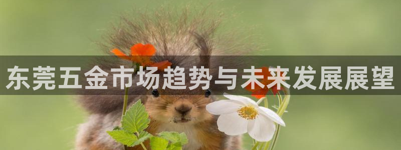 天狮娱乐主管57757