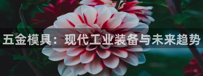 天狮娱乐股东招商