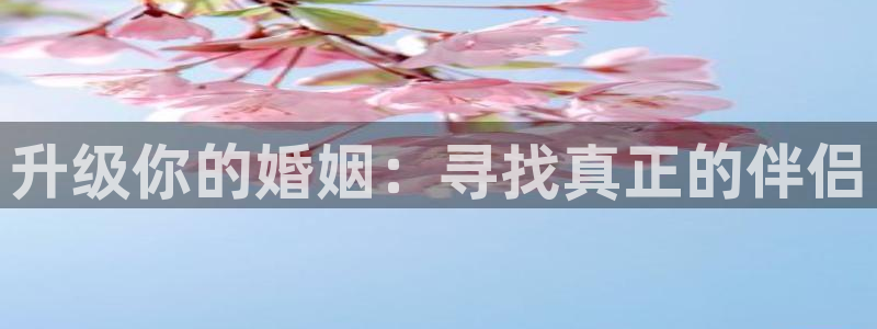 天狮娱乐平台多久