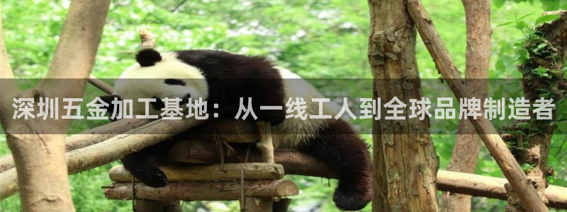 天狮国际娱乐平台