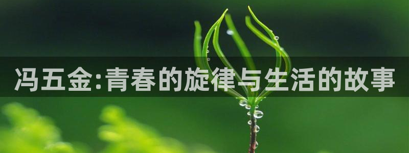 天狮娱乐平台是哪里的