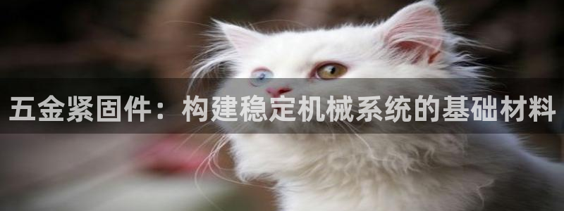 天狮娱乐b 判官是谁