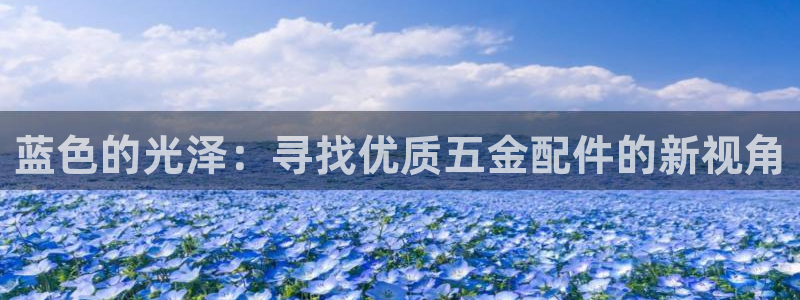 天狮娱乐 运营88383x