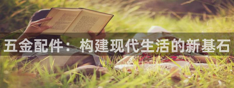 天狮娱乐鱼刺A软件