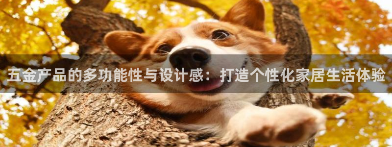 天狮娱乐60447股东