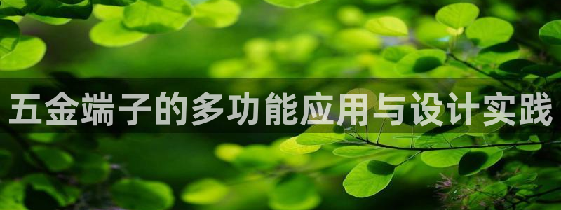 天狮娱乐主管待遇