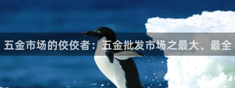 天狮娱乐代理怎么做