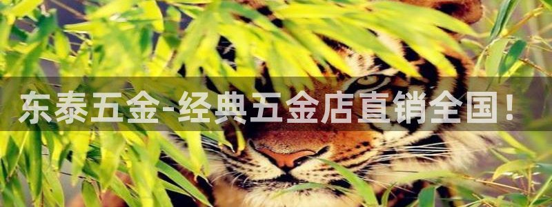 天狮娱乐 b主管61166