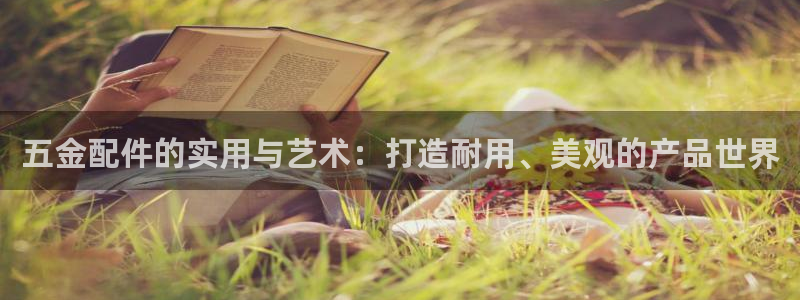 天狮娱乐股东招商